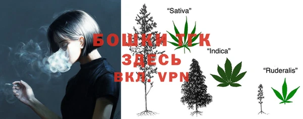 MESCALINE Надым